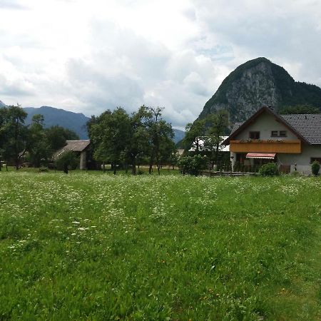 Apartmaji Bremec Bohinj Exterior photo